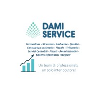DAMI SERVICE logo - Similar company to Spes Italia Engineering Srl