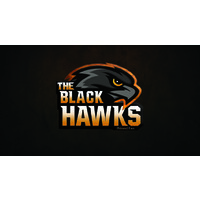 The Black Hawks logo - Similar company to Prompt Engineering Works