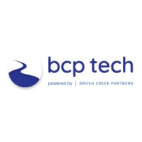 bcp tech logo - Similar company to Ritz Interactive, Inc.