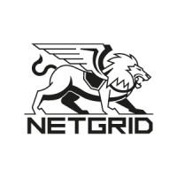 Netgrid logo - Similar company to Netgrid