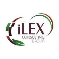 iLEX Consulting Group, LLC logo - Similar company to Computertraining.Com