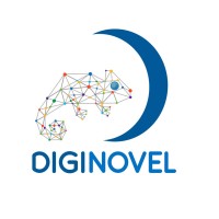 Diginovel