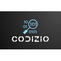 Codizio logo - Similar company to Minebrat