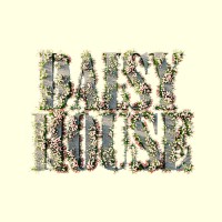 Daisy House Studios LLC logo - Similar company to Scandesignz