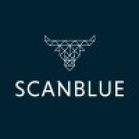 Scanblue AG logo - Similar company to Scanblue Engineering Ag