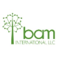 BAM International LLC logo - Similar company to Ski Engineering Systems