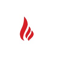 Ballou Fire Systems logo - Similar company to Rae Security