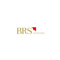 BRS Ventures logo - Similar company to Finablr