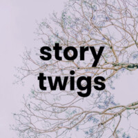 Storytwigs logo - Similar company to 易帆互动 Ezfun Interactive Technology Ltd.