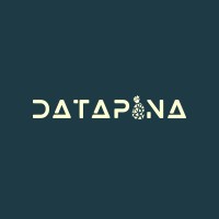 Datapina logo - Similar company to Proconsult