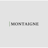 Montaigne logo - Similar company to Hyperelec