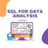SQL for Data Analysis logo - Similar company to Lijap Computer Solution Pvt Ltd.