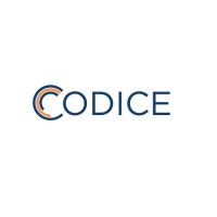 Codice Information Management logo - Similar company to Sonicai