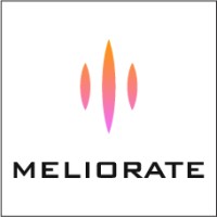 MELIORATE logo - Similar company to Droid Clouds