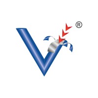 Vishkala Venture Private Limited logo - Similar company to Digital Amhser