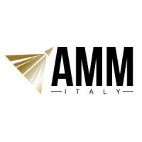 Aerospace Materials Management Srl [AMM] logo - Similar company to Leadeco | Trvalo Udržateľný Rozvoj Firiem