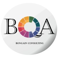 Bongain Consulting logo - Similar company to Aurelia Automation & It Services
