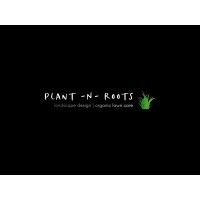 Plant -N- Roots