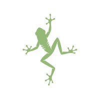 Tree Frog Play
