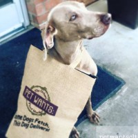 Pet Wants Charlotte: The Urban Feed Store logo - Similar company to Worm Generation