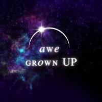 Awe Grown Up logo - Similar company to Pnacl