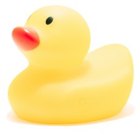 Excellent Rubber Duck, Llc
