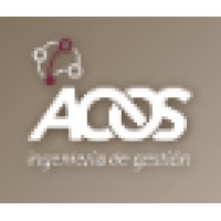Acos, Ingeniería De Gestión