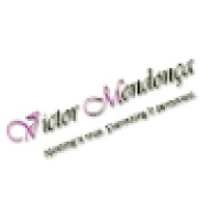 Victor Mendonca logo - Similar company to A7N