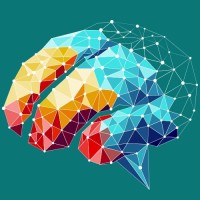 Neurotreinamento logo - Similar company to Educabee