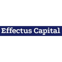 Effectus Capital B.V. logo - Similar company to Effectus Capital