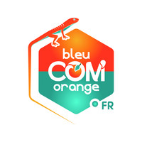 Bleu COM' Orange logo - Similar company to Opteam Interactive