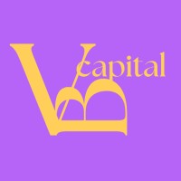 Vostok Bridge Capital logo - Similar company to Technosis