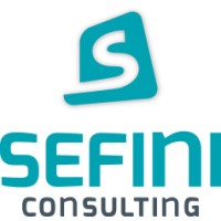 Sefini Consulting logo - Similar company to Acoustic Technologies