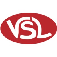 VSL - Villeneuve Sports Loisirs logo - Similar company to In Ex Too