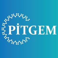 Politika, İnovasyon, Tasarım ve Gelişim Merkezi (PİTGEM) logo - Similar company to Podem | Kamusal Politika Ve Demokrasi Çalışmaları Merkezi
