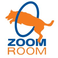 Zoom Room Sandy Springs logo - Similar company to Creative Edge Consulting