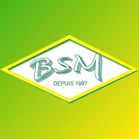 BSM logo - Similar company to Axis Informatique