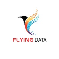 Flying Data Developers Private Limited logo - Similar company to Briskode Technology Pvt.Ltd