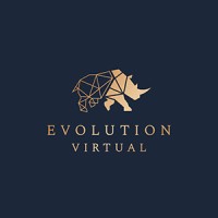 Evolution Virtual logo - Similar company to Fleetdesk