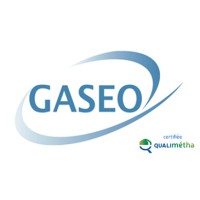 GASEO Développement logo - Similar company to Alternative Energy Solutions