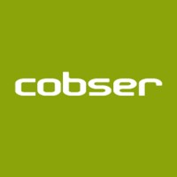 Cobser Consulting logo - Similar company to Layout Studio