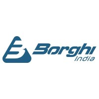 Borghi India logo - Similar company to K & B Associates The Laundry Solutions
