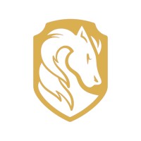 Stallion Security LLC logo - Similar company to Cap Security Services