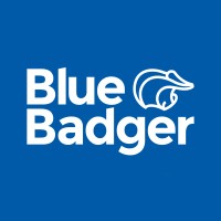 Blue Badger Wholesale Ltd logo - Similar company to Swift Electrical
