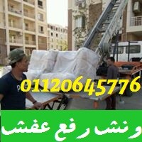 شركات نقل الاثاث بالشيخ زايد 01090216656 ونش رفع اثاث بالشيخ زايد logo - Similar company to Appyzon - L'Agenzia Per Vendere Su Amazon Senza Perdersi