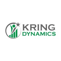 Kring Dynamics logo - Similar company to Alpha Automotive