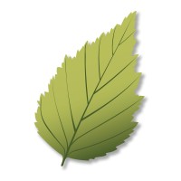 Gestizone logo - Similar company to Naturive