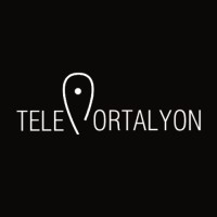 Teleportalyon logo - Similar company to Beeyond Agency