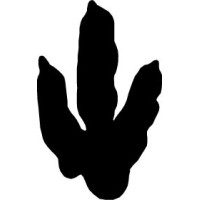 Dinosaur State Park logo - Similar company to The Mammoth Site