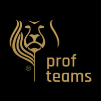 Profteams logo - Similar company to Matrix Intralogistics
